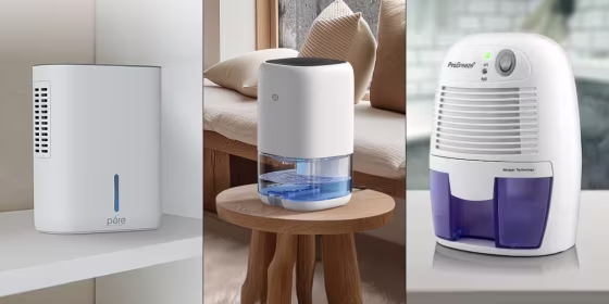 Brands like Midea, Pure Enrichment and Eva-Dry have dehumidifiers with features fitting for small rooms.