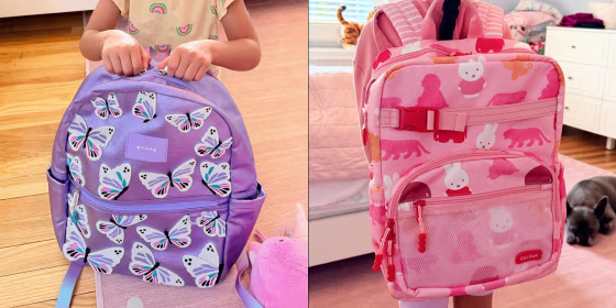 After asking a number of parents for recommendations, an overwhelming number of them recommended a State backpack.