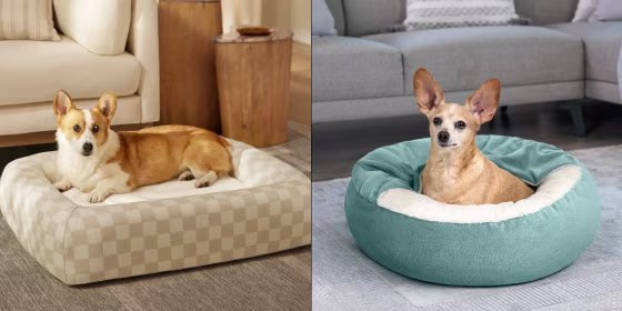 A dog bed can help reduce anxiety and serve as a safe space for your pet to rest, vets say.