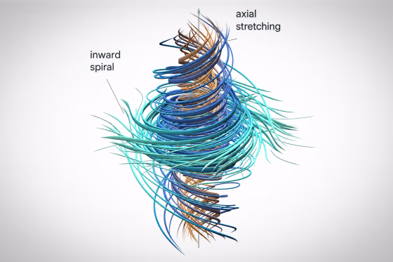 The Navier-Stokes problem is a 200-year-old puzzle involving equations that describe the behavior and motion of fluids and gases.