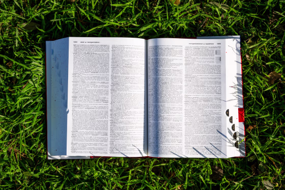 Image: A Merriam-Webster's dictionary is seen placed on a lawn
