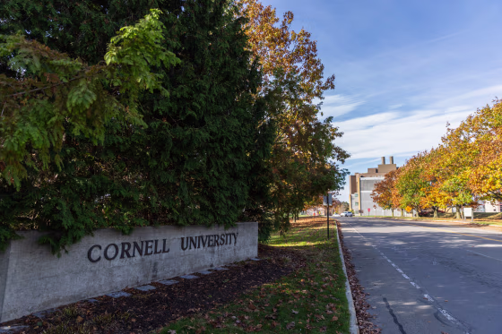 Cornell University campus.