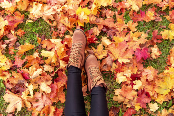 Fall Captions