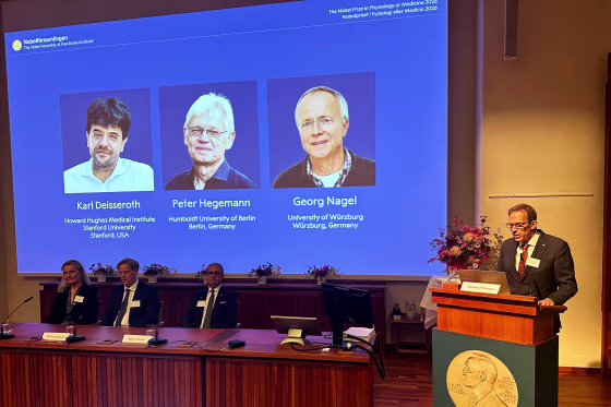 Announcement of the Nobel Prize in Physiology or Medicine