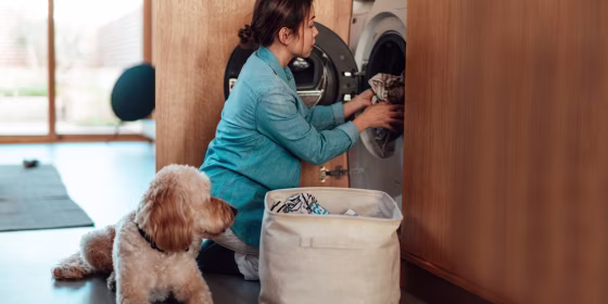 Many pet laundry detergents market themselves as being better for a pet’s skin and more capable of breaking down odors.
