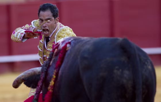Colombian matador Luis Bolivar prepares to drive a sword into a bull during a bullfight in The Maestranza bullring in Seville, Spain on April 16.