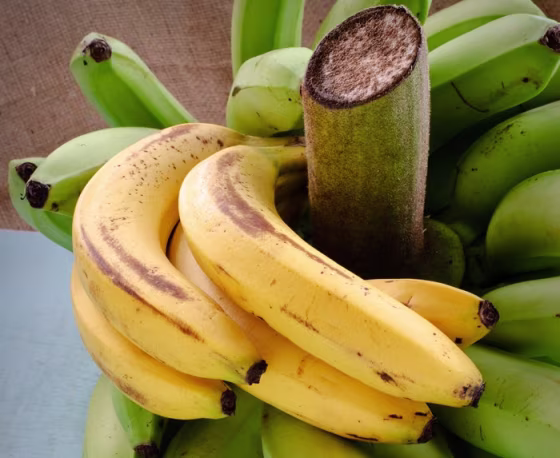 Banana bunch
