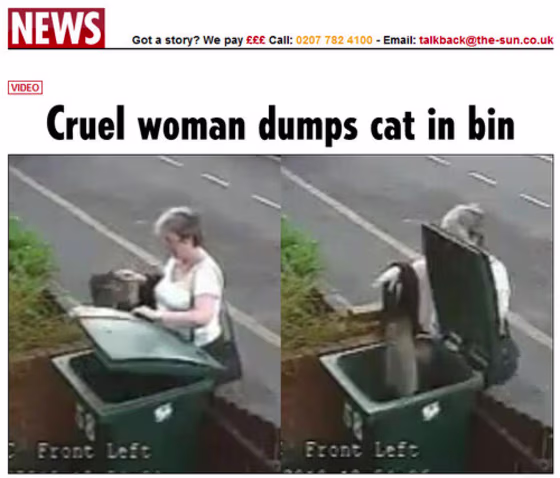 The U.K. Sun features two CCTV screen captures that reveal "the moment a middle-aged woman picks up a cat — and drops it into a WHEELIE BIN."