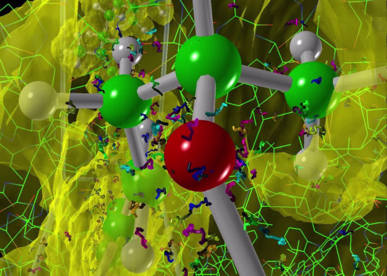 Researchers are analyzing the molecular pathways that plants use for photosynthesis.
