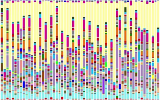 A graph charts the relative proportions of different types of bacteria on shoes (odd-numbered columns) and cell phones (even-numbered columns).