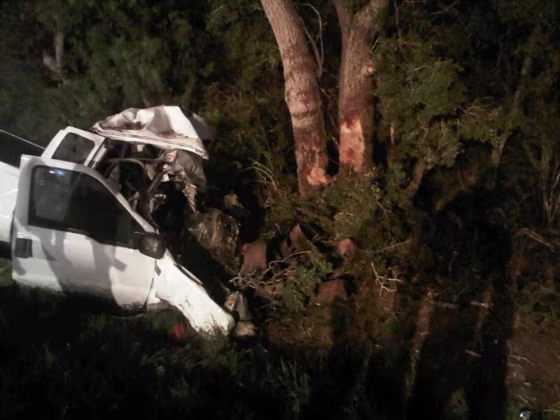 A pickup truck crashed into trees in Goliad County, Texas, on Sunday, killing at least 11 people and injured 12 others, authorities said.