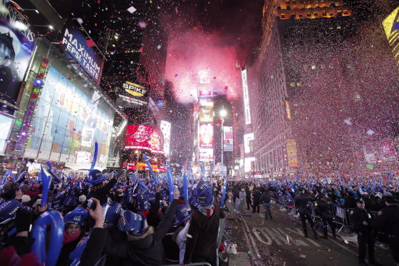Revelers cheer as confetti falls during New Year celebrations in Times Square in New York January 1, 2011.