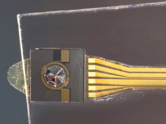 Fraunhofer implant