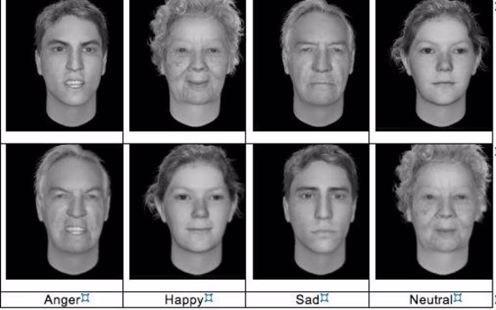 Here's an example of the images researchers used in the study.