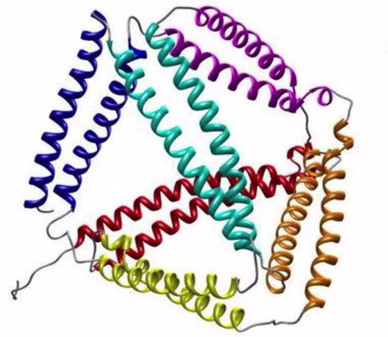 Using 'protein origami,' scientists created this tetrahedron from segments of protein.