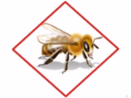 Image: Bee icon