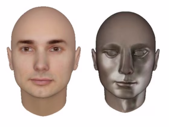 Human and robot