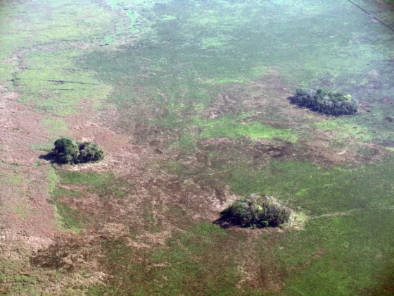 Image: Earthen mounds