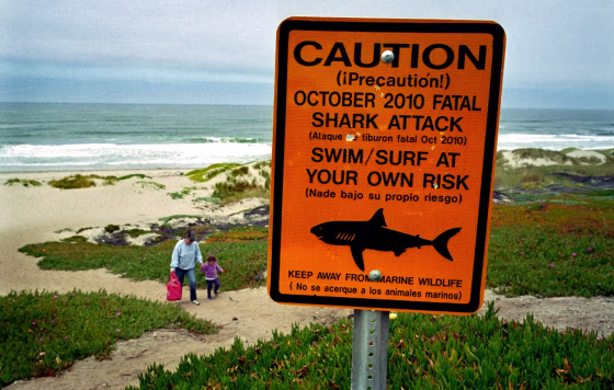 This July 11, 2011 photo shows a shark warning sign along the Surf Beach near Lompoc, Calif. in Santa Barbara County. A shark attack at the Vandenberg Air Force base beach has claimed the life of an experienced 39-year-old surfer, following months of frequent shark sightings along the central California coast.