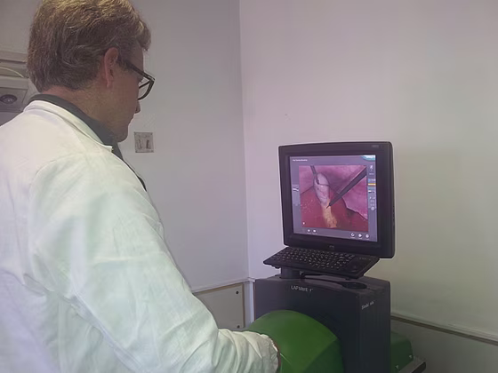 laparoscopic simulator