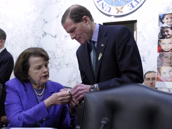 Senate Judiciary Committee member Sen. Dianne Feinstein, D-Calif., gets help with a green ribbon pin for the victims of Sandy Hook Elementary School, from fellow committee member Sen. Richard Blumenthal, D-Conn., on Capitol Hill in Washington, Wednesday, Feb. 27, 2013.