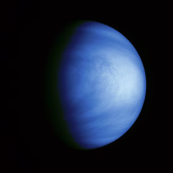 Image of Venus