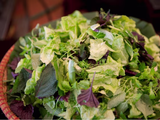 Salad
