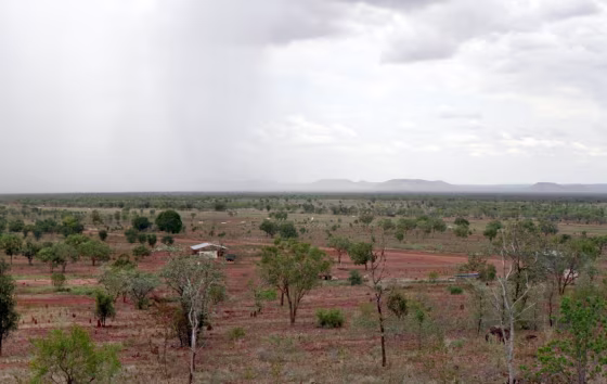 New research links gradual greening of arid areas like Australia's outback to increasing concentrations of atmospheric carbon dioxide.