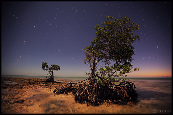 This photo combines the landscape of the Florida Keys with the flash of a meteor above on the night of Jan. 3-4, at the peak of the Quadrantid meteors.
