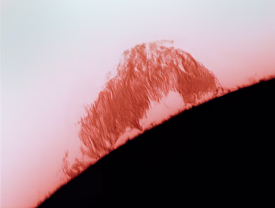 A prominence big enough to engulf our planet loops up from the edge of the sun's disk in this photo by Alan Friedman.