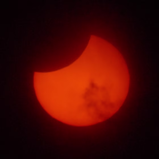 The moon's disk takes a bite out of the sun during Friday's partial solar eclipse, as seen from Invercargill in New Zealand. The last of 2011's four solar eclipses was visible only from an area in southern latitudes taking in New Zealand, Tasmania, South Africa and Antarctica.