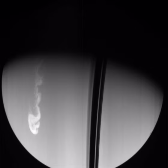 This Dec. 24 picture from the Cassini orbiter shows a huge storm on Saturn as a bright-colored whirl on the planet's disk. The raw, unprocessed image, which was received and released today, also shows the dark shadows of Saturn's rings on the disk.