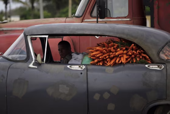 A man sits in a car loaded with carrots at a wholesale market on the outskirts of Havana on March 26.