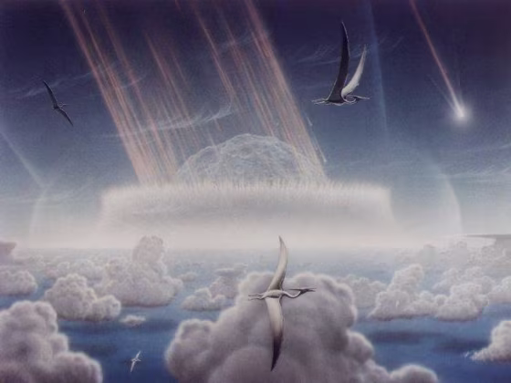 A big body of scientific evidence backs the hypothesis that a major asteroid or comet impact was responsible for the mass extinction of many floral and faunal species, including the large dinosaurs, that marked the end of the Cretaceous period. Now, the theory that a volcanic eruption caused the death is gaining steam.