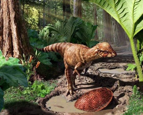 A reconstruction of Acrotholus audeti, a dome-headed dinosaur that lived 85 million years ago.