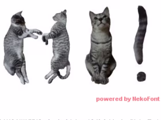 Cat Font