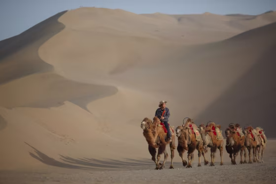 A guide leads camels near the Yueyaquan Crescent Lake.