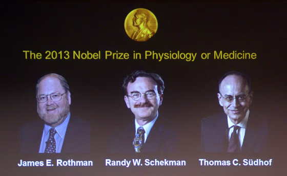 A screen displays photos of (LtoR) James E Rothman from the US, Randy W Schekman from the US and Thomas C Suedhof from Germany, all joined winners of ...