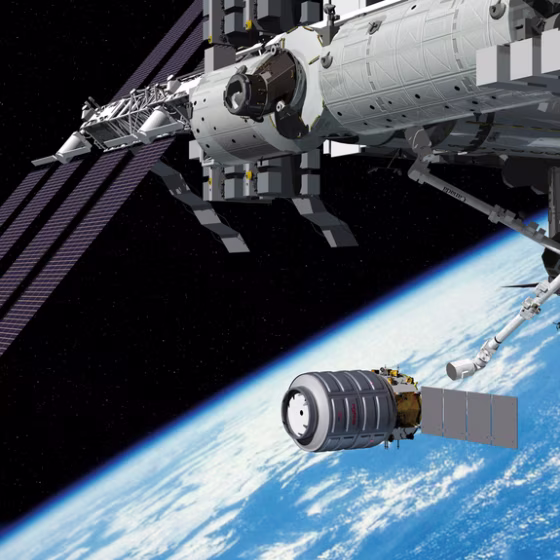 Cygnus