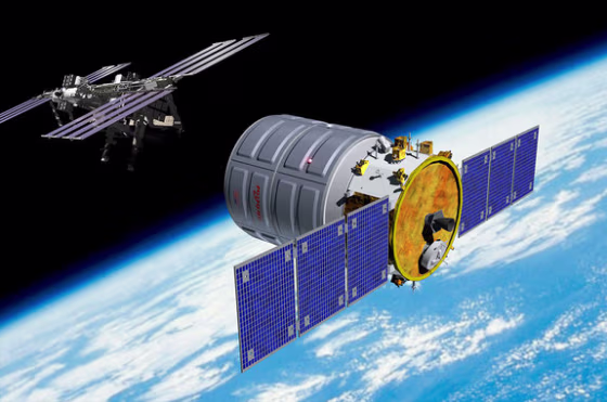 Cygnus