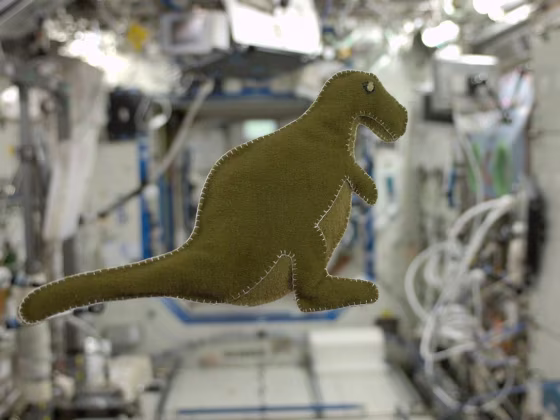 Image: Dinosaur