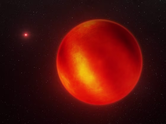 Image: Brown dwarf