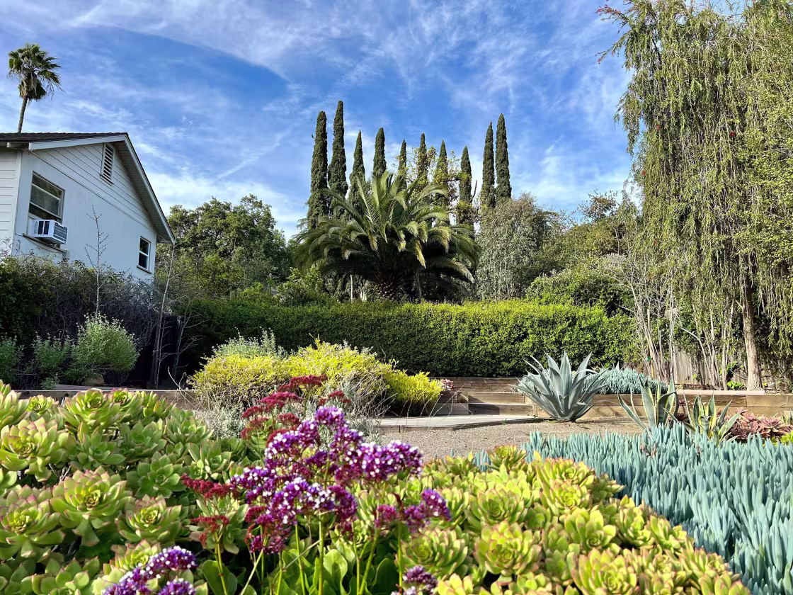 The garden of Gaily Cowart's childhood home in Altadena, Calif.
