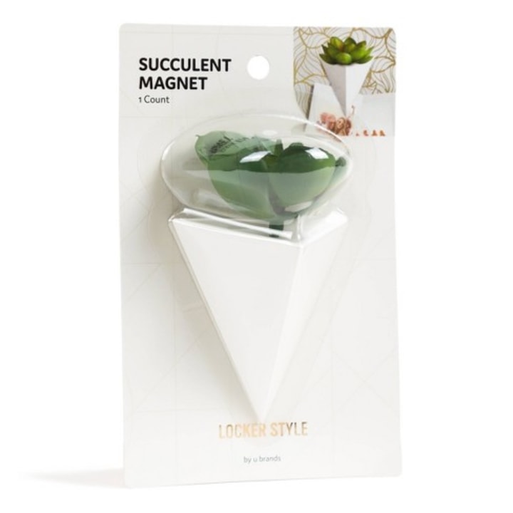 Locker Succulent Magnet