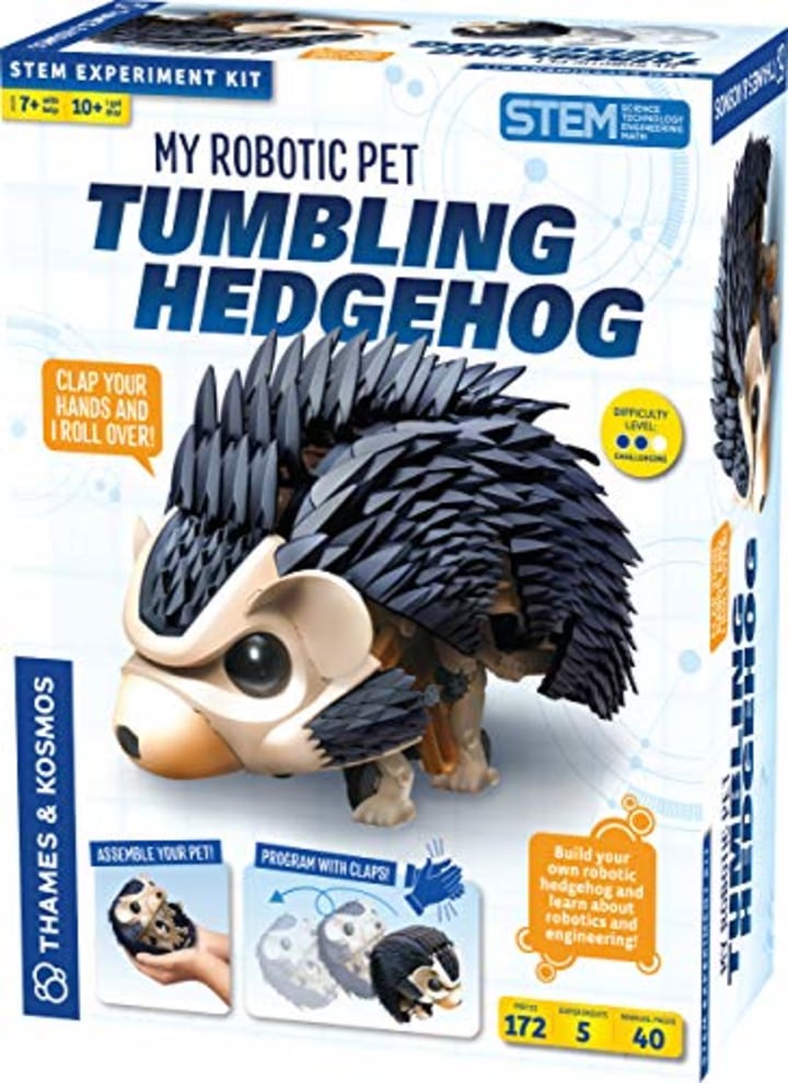 Tumbling Hedgehog Science Experiment &amp; Model Building Kit