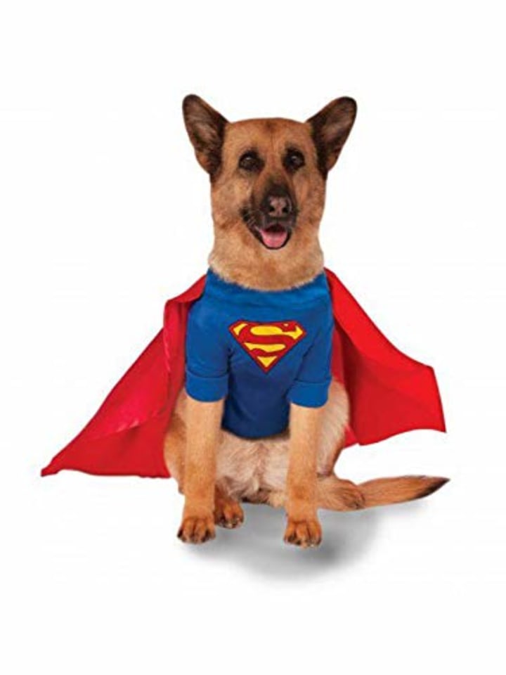Big Dogs Superman Costume
