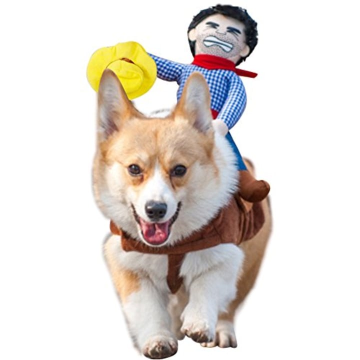 NACOCO Cowboy Rider Dog Costume for Dogs Clothes Knight Style with Doll and Hat for Halloween Day Pet Costume (M)