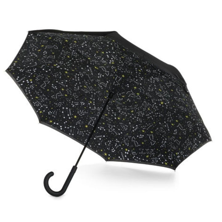 The totes InBrella Reverse Close Umbrella
