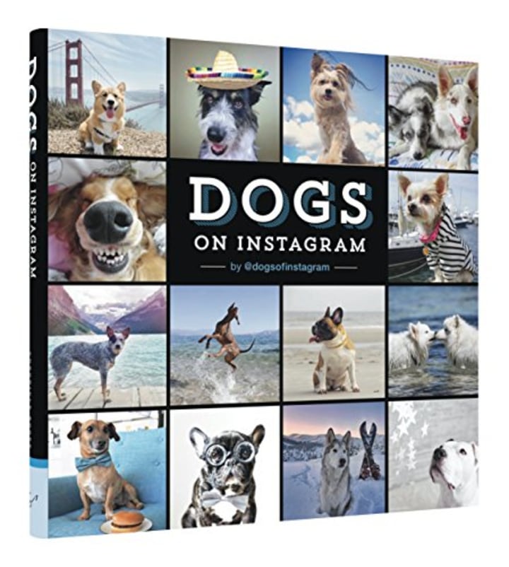 66 Gifts For Dogs Or Dog Lovers To Get In 21 Today