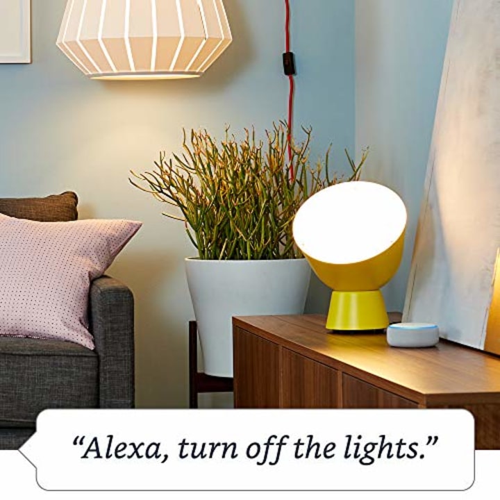 Amazon Smart Plug, works with Alexa - A Certified for Humans Device